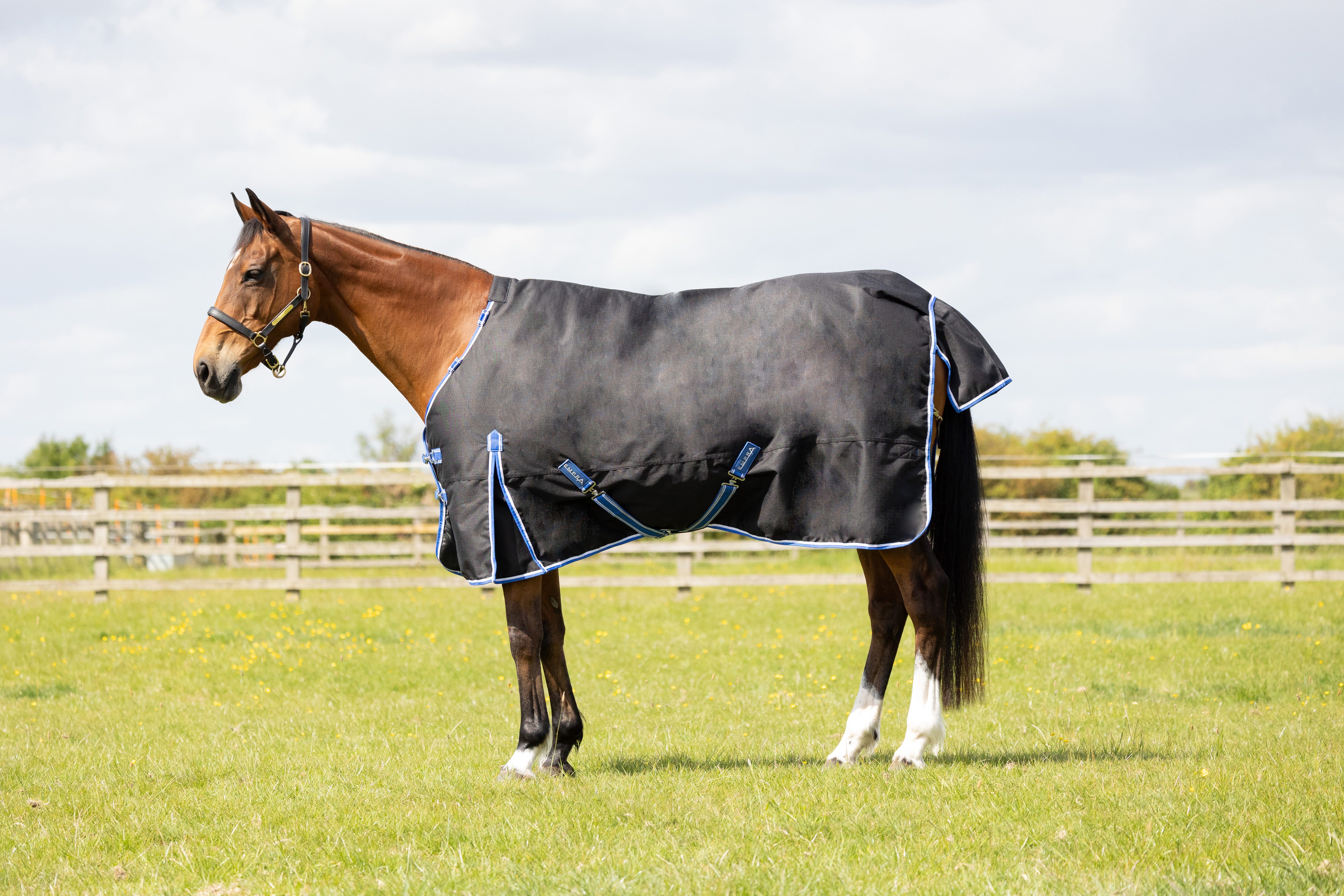 StormX Empra Extra 200g Turnout Rug with Detachable Neck image 2